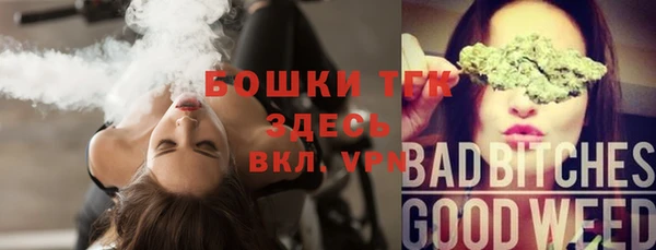 гашик Козельск